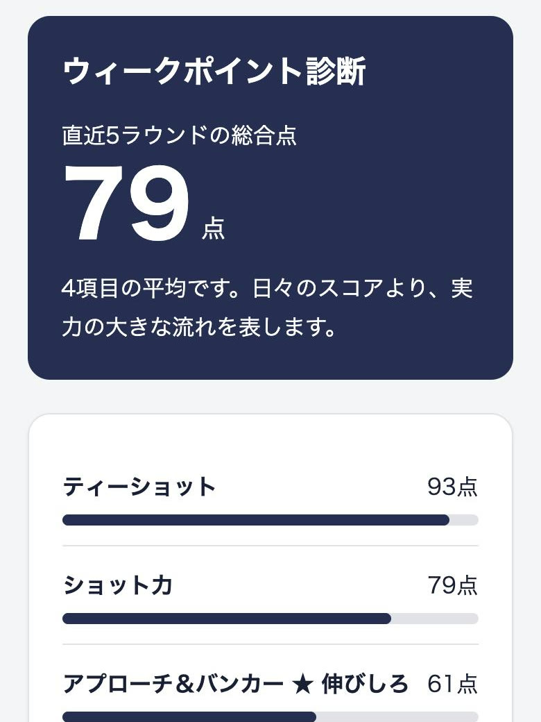 DEKIRUのウィークポイント診断（見本）